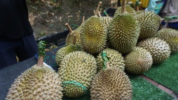 Foto: Wahyu Setyo Widodo/detikTravel