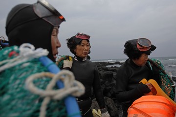 Di balik pesona alam Pulau Jeju, Korea Selatan, terdapat komunitas perempuan tangguh yang selama berabad-abad menggantungkan hidup dari laut. Mereka dikenal sebagai haenyeo, penyelam tradisional yang mencari hasil laut tanpa menggunakan tabung oksigen.  Getty Images/Chung Sung-Jun
