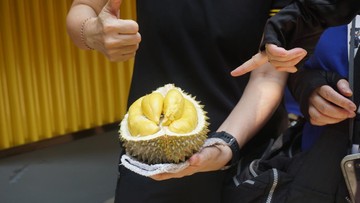 Musang King adalah varian durian terkenal yang berasal dari Malaysia. Wanginya tidak terlalu semerbak tajam, tapi rasa buahnya jangan ditanya, manis legit bikin ketagihan. 