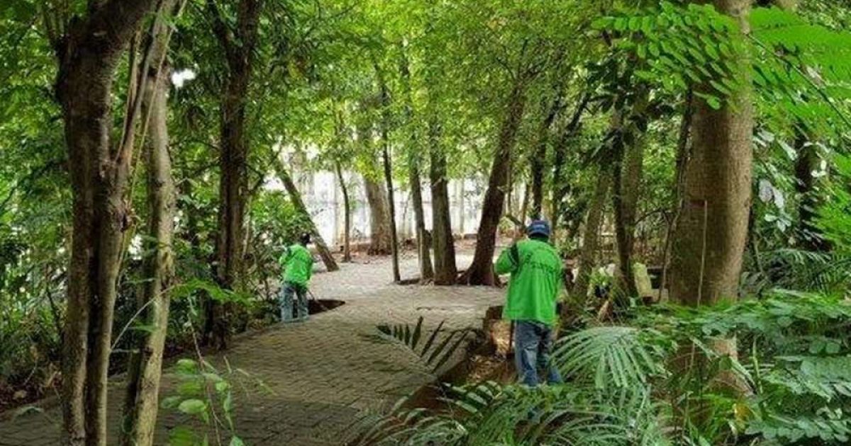 [Foto: Kompas.com]