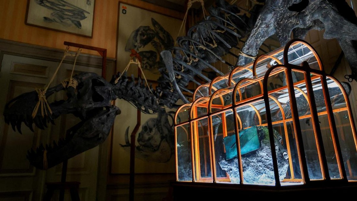 Para ilmuwan dan desainer pada Kamis (2/4) lalu meluncurkan sebuah tas tangan yang terbuat dari kolagen yang berasal dari fosil Tyrannosaurus rex dari Amerika Serikat. (REUTERS/Piroschka van de Wouw)