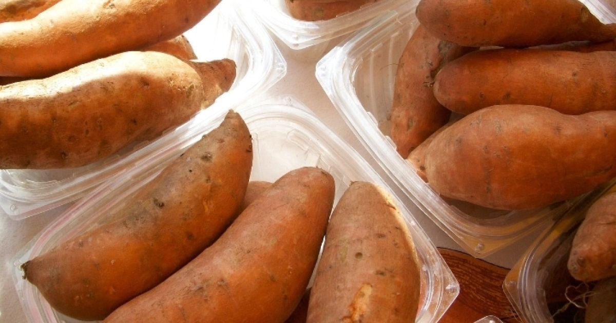 Tren Konsumsi Ubi Rebus Setiap Hari: Superfood Lokal dengan Sederet Manfaat dan Batasan Medis (Foto: Ilustrasi Ubi Jalar/Pixabay)