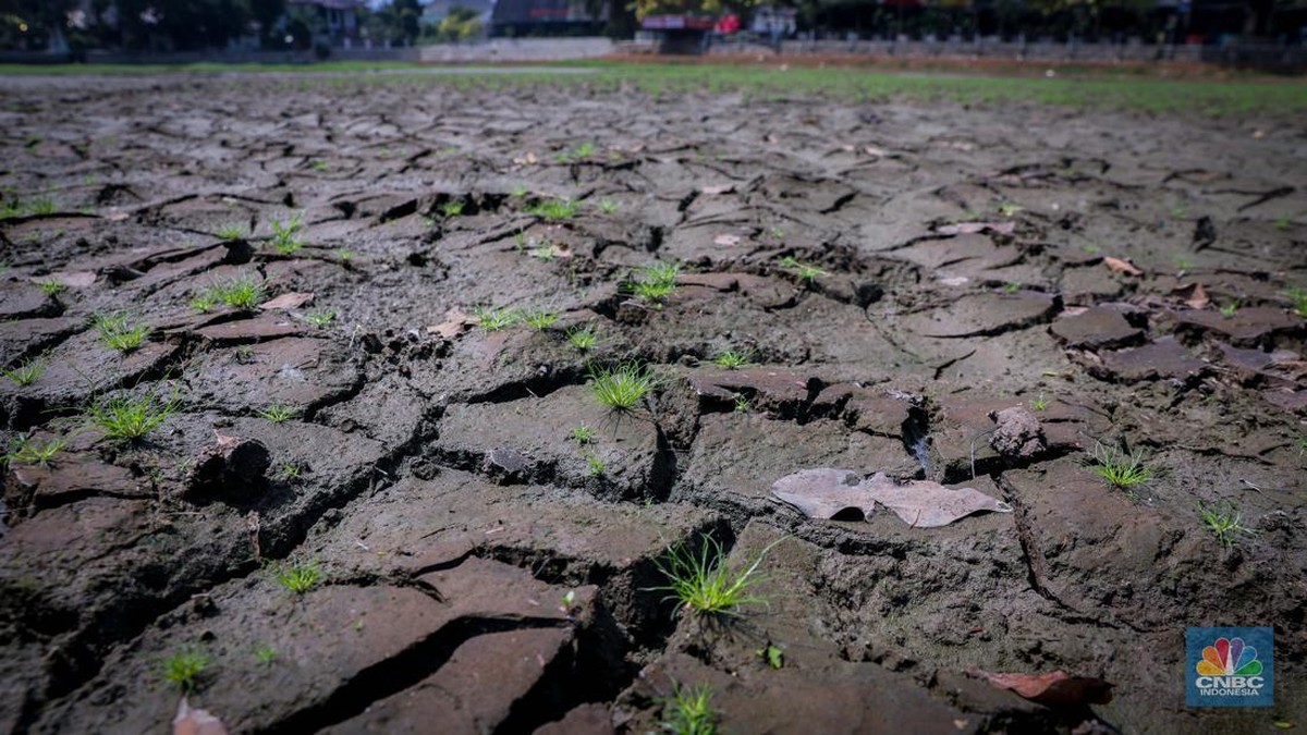 Foto: Seorang warga berjalan di tanah yang retak akibat kekeringan di Danau Cinere, Depok, Jawa Barat, Rabu (27/9/2023). (CNBC Indonesia/Faisal Rahman)