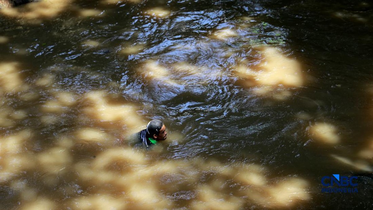 Foto: Petugas PPSU Kelurahan Gedong menunjukkan ikan sapu-sapu usai ditangkap di Kali Baru, Pasar Rebo, Jakarta Tinur, Senin (20/4/2026). (CNBC Indonesia/Muhammad Sabki)