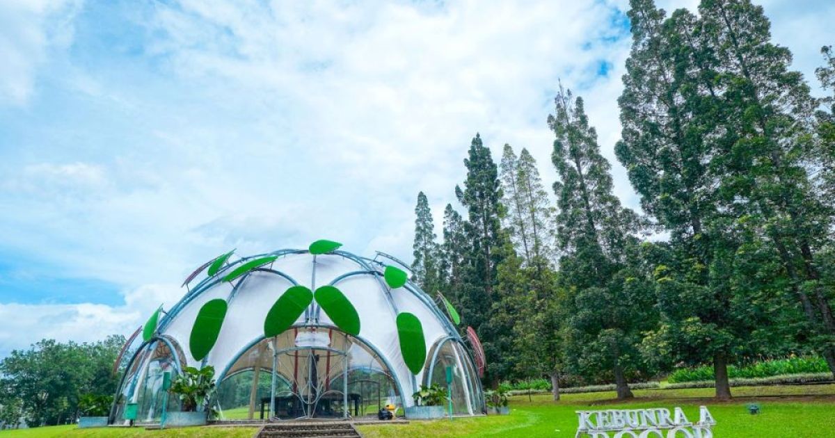 [Foto: Kompas.com]