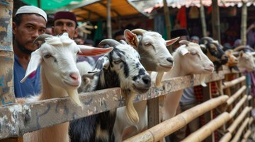 Ini 3 Hal yang Bisa Bikin Daging Kurban Haram Dikonsumsi, Muslim Wajib Tahu!/Foto: Freepik