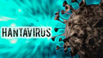 Wabah Misterius di Kapal Pesiar MV Hondius: Andes Hantavirus Renggut Tiga Nyawa Pelayaran