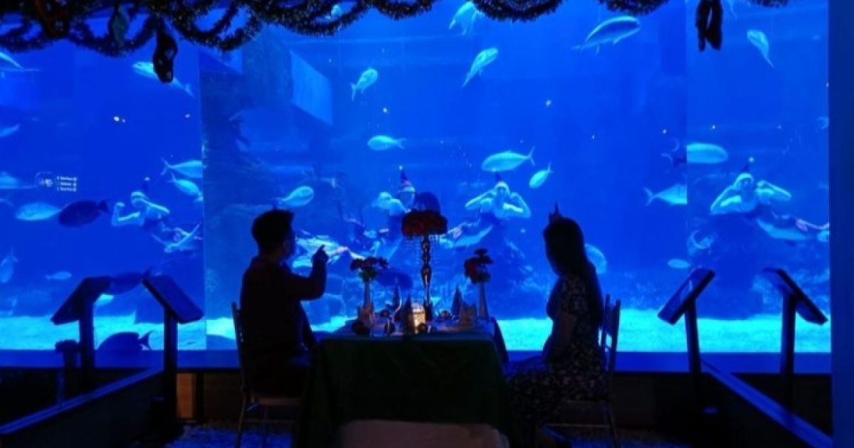 Destinasi Viral di Jabodetabek yang Wajib Dikunjungi (Foto: Jakarta Aquarium Safari/Kompas/Nabilla Tasandra)