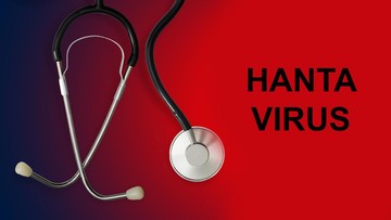 Kemenkes Ungkap Tren Kasus Hantavirus di Indonesia: Fokus pada Seoul Virus dan Pencegahan