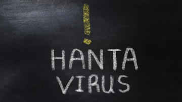 Ilustrasi (Foto: Getty Images/ninitta)