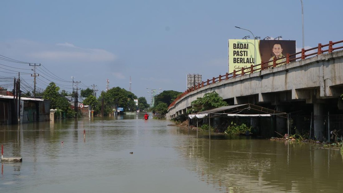 Ancaman Nyata: 65,8 Persen Garis Pantai Utara Jawa Tergerus Abrasi, BRIN Ungkap Dampak Ekologis dan Ekonomi