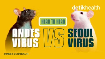 Foto: infografis detikHealth