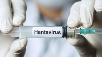 Kesiapsiagaan Nasional Ditingkatkan: Pemerintah Perketat Pengawasan di Gerbang Negara Antisipasi Penyebaran Hantavirus Global
