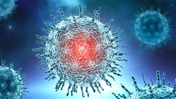 Bikin Merinding, Tweet Lama Soal Prediksi Hantavirus 2026 Viral Lagi / Foto: Freepik