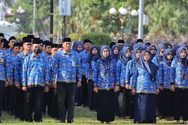 Ilustrasi PNS. (KOMPAS.com/SUKOCO)