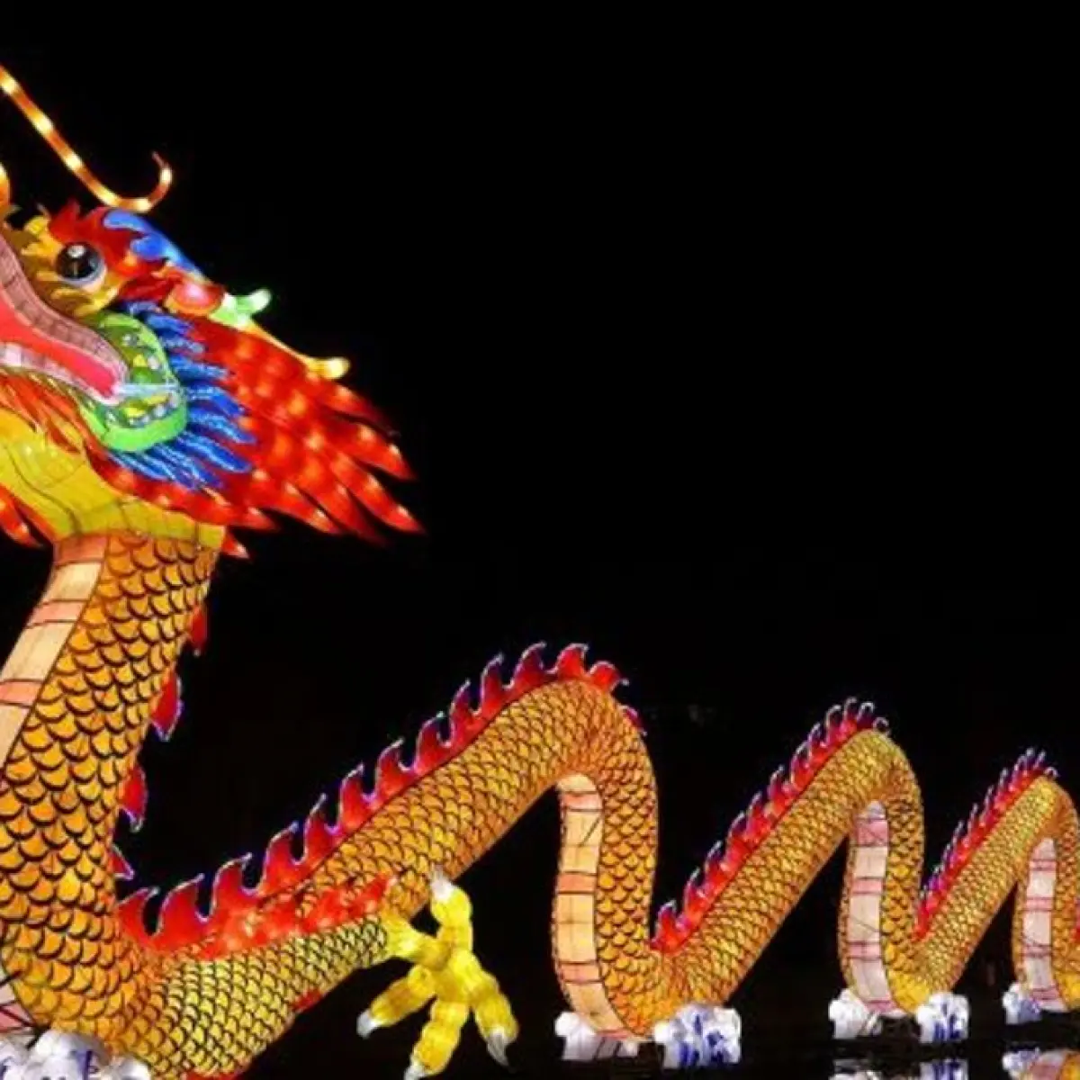 Ilustrasi shio Naga. (Unsplash/Martin Woortman)