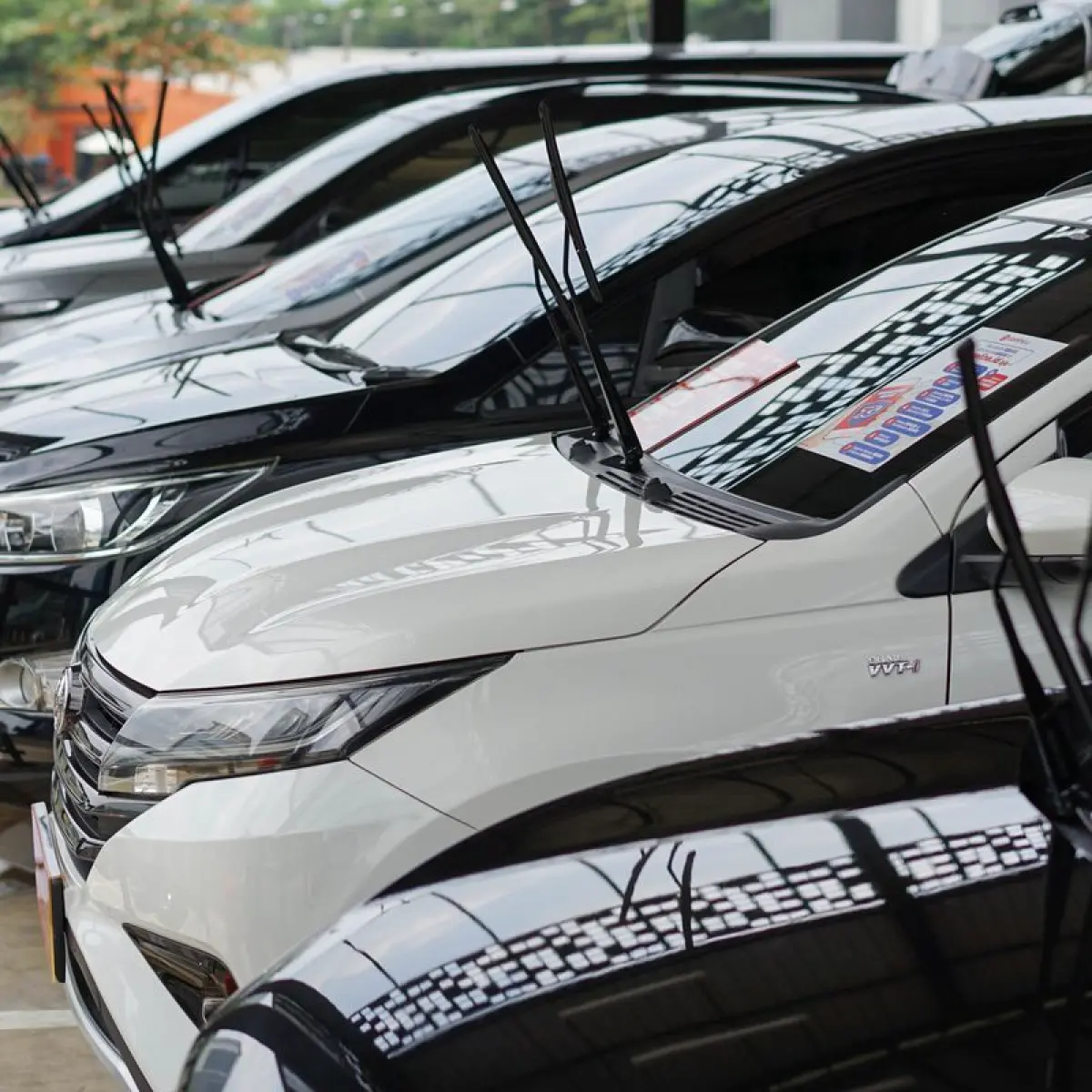deretan mobil bekas dengan fitur moonroof terparkir rapi (Foto: Kompas)