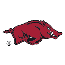 Kejutan di Lapangan Hijau: Arkansas Bungkam Tennessee dengan Skor Akhir 8-4 pada Pertandingan Mei 2026