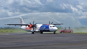 Ilustrasi pesawat Wings Air. Foto: Lion Group