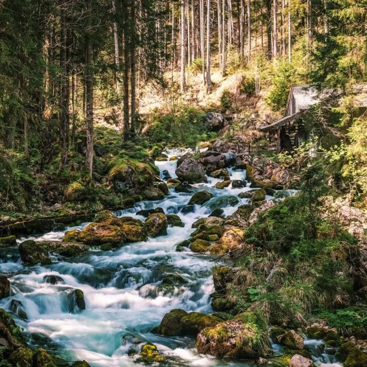 ilustrasi koin emas feng shui dan elemen api (Foto: Image)