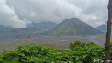 Aktivitas Wisata Gunung Bromo ditutup saat peringatan Yadnya Kasada. Foto: M Rofiq/detikJatim