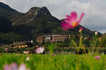 Foto: (The ArcadiaPlace)