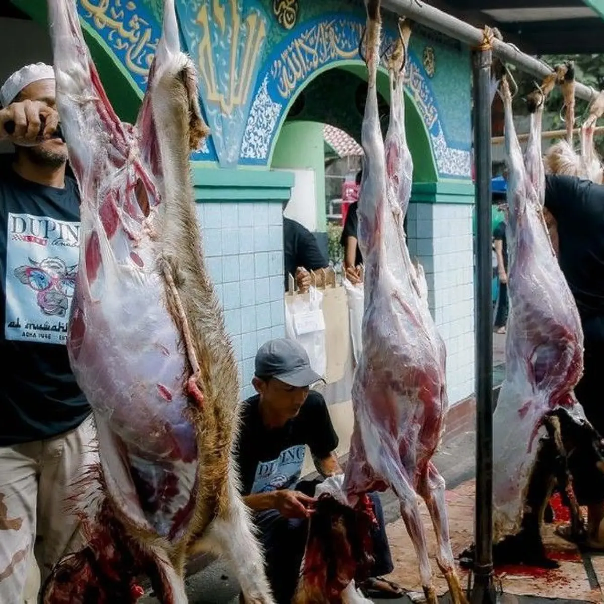 Daging merupakan sumber protein yang istimewa, tapi tetap tak disarankan mengonsumsinya berlebihan. Foto: Grandyos Zafna Manase Mesah/detikHealth