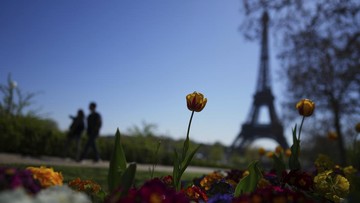 Analisis Biaya dan Destinasi: Merencanakan Liburan Impulsif ke Paris atau Tokyo di Akhir Mei