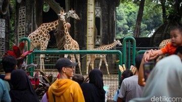 Pengunjung memadati Taman Margasatwa Ragunan, Pasar Minggu, Jakarta Selatan, Kamis (28/5/2026). Taman Margasatwa Ragunan menjadi destinasi wisata favorit di Jakarta pada masa libur dan cuti bersama Idul Adha.