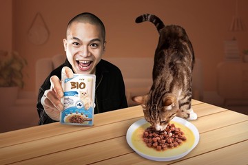 Foto: Bio Cat
