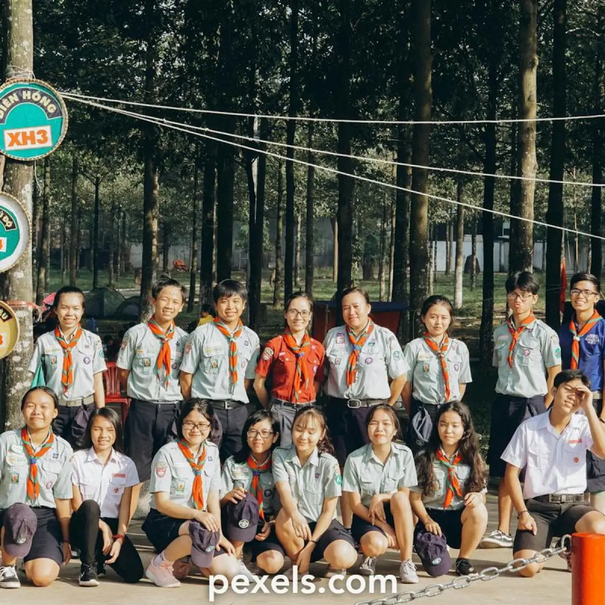 ilustrasi permainan mencari perbedaan gambar (Foto: Pexels)