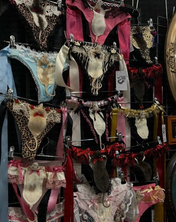 Butik Australia Ciptakan Sensasi: Lingerie Wanita Berhias Tikus Awetan Dijual Fantastis