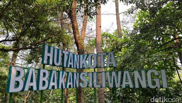 Menemukan Oase Teduh di Jantung Kota Bandung: Pesona Alam Hutan Kota Babakan Siliwangi