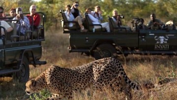 Taman Nasional Kruger (David Silverman/Getty Images/CNN)