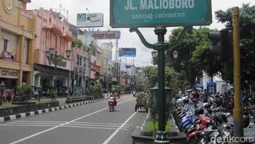 Solusi Penghijauan Bali: Pakar Unud Soroti Keunggulan Pohon Asam ala Yogyakarta untuk Ruang Kota