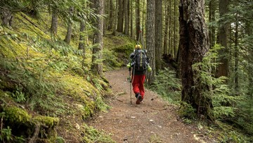 Ilustrasi mendaki gunung (Getty Images/AscentXmedia)