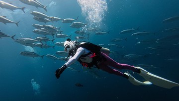 Wisatawan menikmati keindahan bawah laut di Pulau Tomia, Kabupaten Wakatobi, Sulawesi Tenggara (Jojon/Antara)