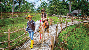IIustrasi Dairyland Foto: Dok. Laman resmi Dairyland