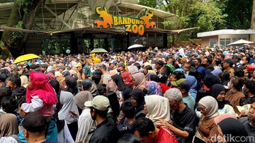 Foto: Wisma Putra/detikJabar