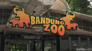 Bandung Zoo (Gheyna Sabila Z/detikcom)