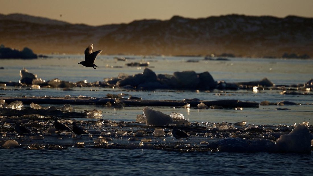 Foto: Sebuah bongkahan es mengapung di perairan laut dekat Nuuk, Greenland, 30 Januari 2026. REUTERS/Stoyan Nenov