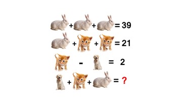 Uji Ketajaman Logika Matematika Anda dengan Tujuh Soal Teka-Teki Angka Menantang
