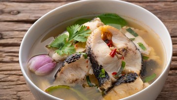 Keunggulan Nutrisi Ikan Gabus: Kandungan Protein Melampaui Rata-Rata Protein Hewani