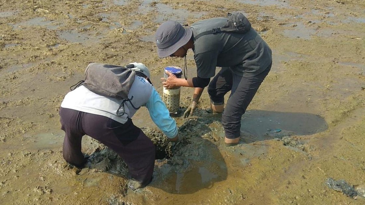Foto: Kementerian Pertanian (Kementan) mendorong petani mulai mengadopsi teknologi hemat air untuk menghadapi ancaman musim kemarau yang semakin tidak menentu, termasuk potensi El Nino “Godzila” yang diprediksi BRIN beberapa waktu lalu. (Dok. Humas Kementan)
