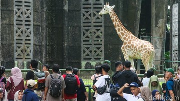 Pengunjung memadati Taman Margasatwa Ragunan, Jakarta, Rabu (16/6/2026).