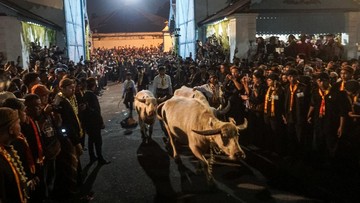 Ribuan warga terlihat berdiri di sepanjang rute kirab sejak sore hari demi menyaksikan secara langsung kemunculan kerbau bule keturunan kerbau pusaka Kyai Slamet yang dipercaya membawa berkah dan keselamatan. ANTARA FOTO/Mohammad Ayudha