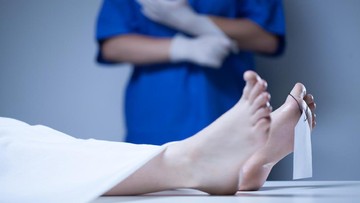 Kejutan Anatomi: Penemuan Tiga Penis pada Jenazah Donatur di Sekolah Kedokteran Inggris