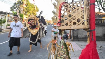 Remaja menarikan Barong Bangkung saat tradisi Ngelawang di Denpasar, Bali. Tradisi tersebut menjadi bagian dari rangkaian Hari Raya Galungan yang dilakukan dengan berkeliling dari rumah ke rumah warga. ANTARA FOTO/Fikri Yusuf