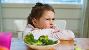 Mengatasi Tantangan Picky Eater: Strategi Efektif Atur Pola Makan Anak Demi Tumbuh Kembang Optimal