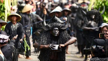 Ratusan warga Desa Alasmalang merayakan tradisi Kebo-keboan sebagai ungkapan syukur atas panen. (Eka Rimawati)